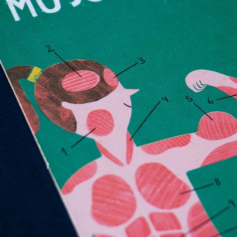 Educational game of the human body